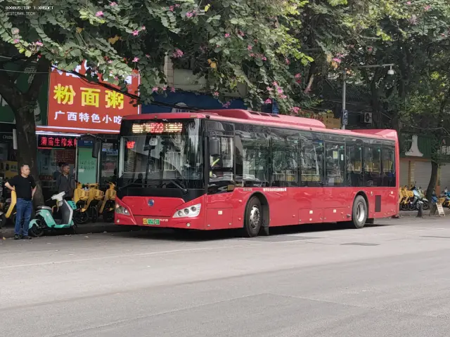 800BUS