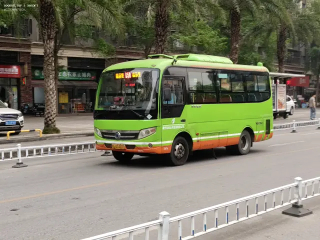 800BUS