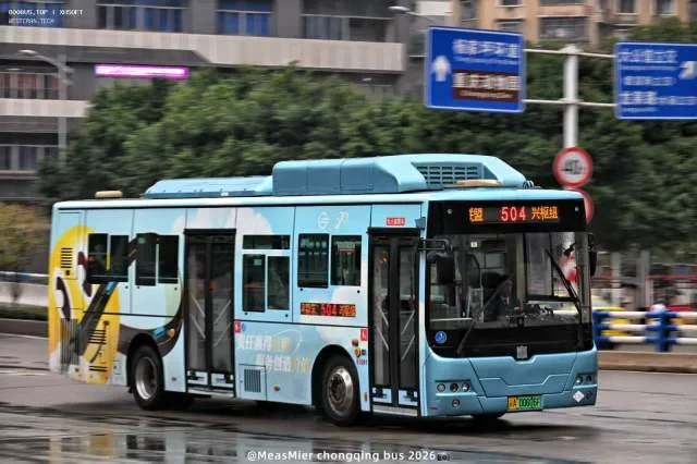 800BUS