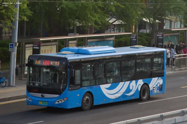800BUS