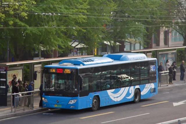 800BUS