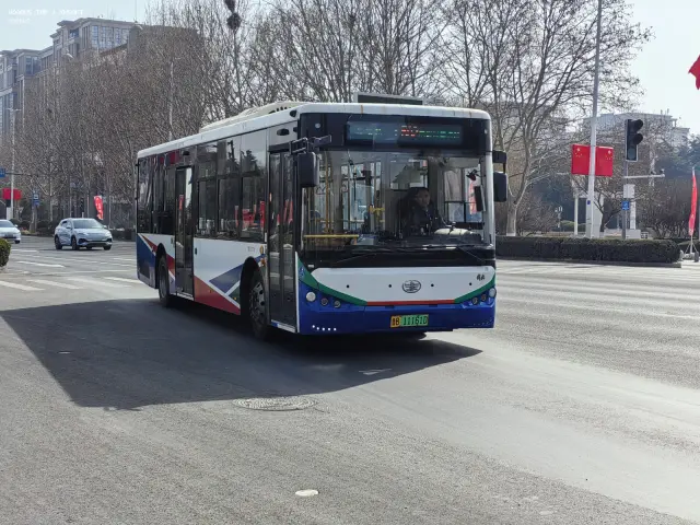 800BUS