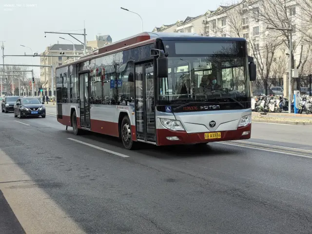 800BUS