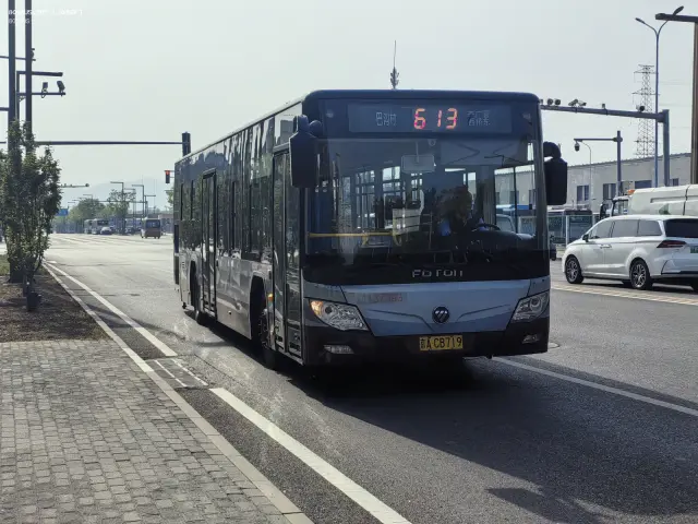800BUS