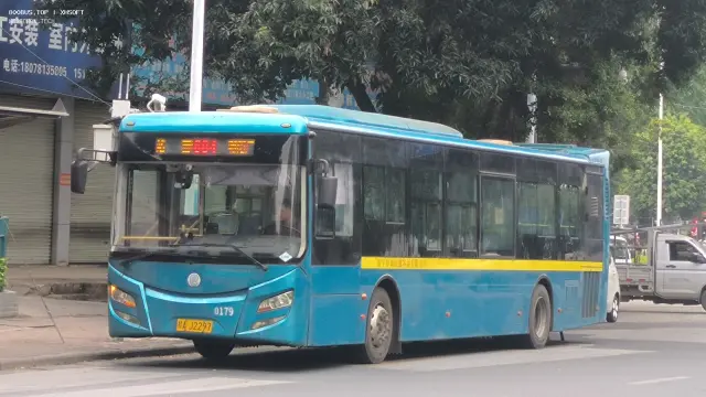 800BUS
