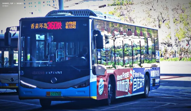 800BUS