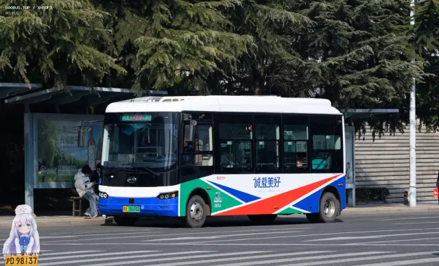 800BUS