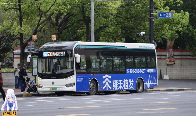 800BUS