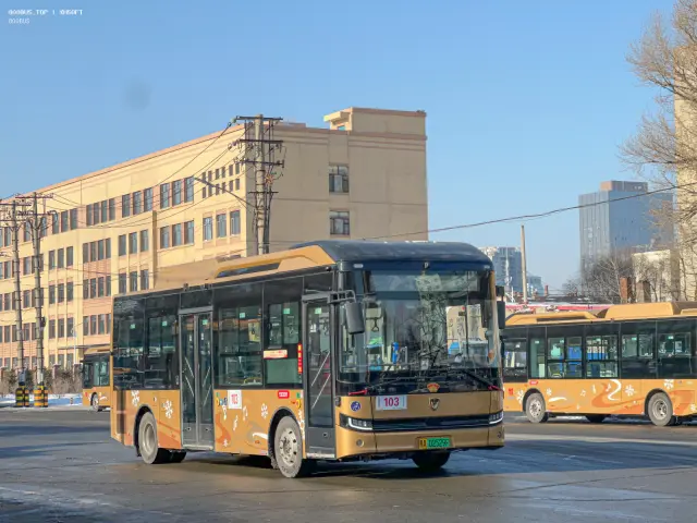 800BUS