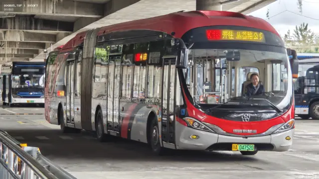 800BUS