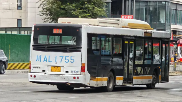 800BUS