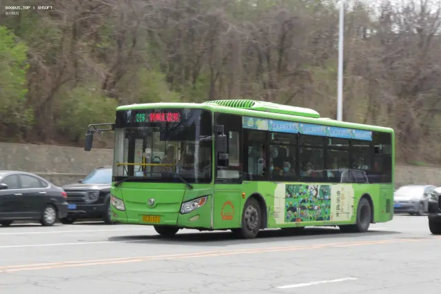 800BUS