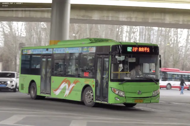 800BUS