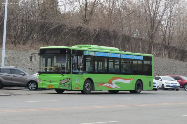 800BUS