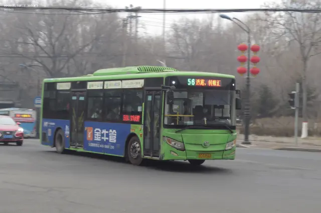 800BUS