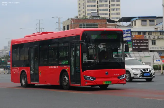 800BUS