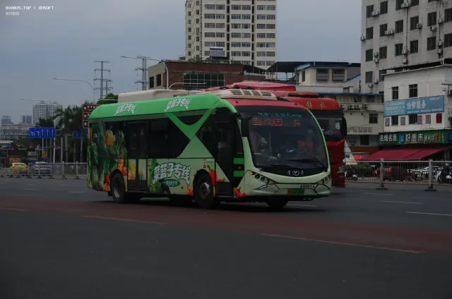 800BUS