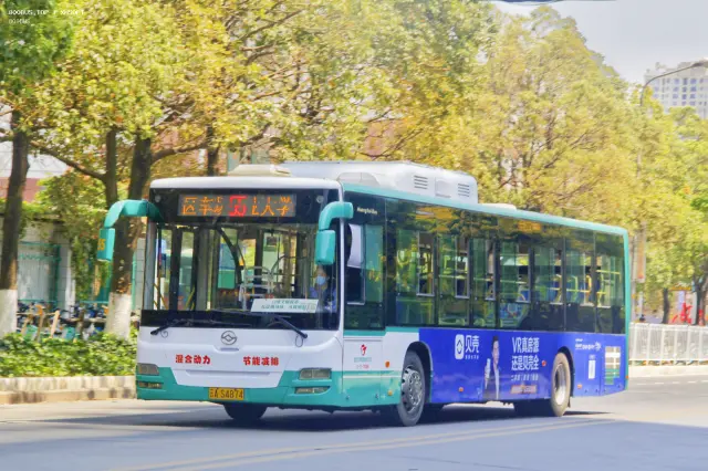 800BUS
