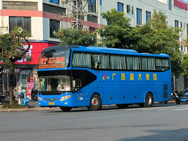 800BUS