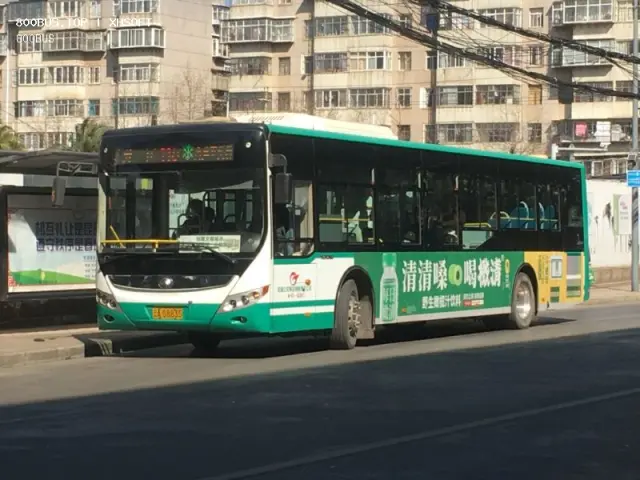 800BUS