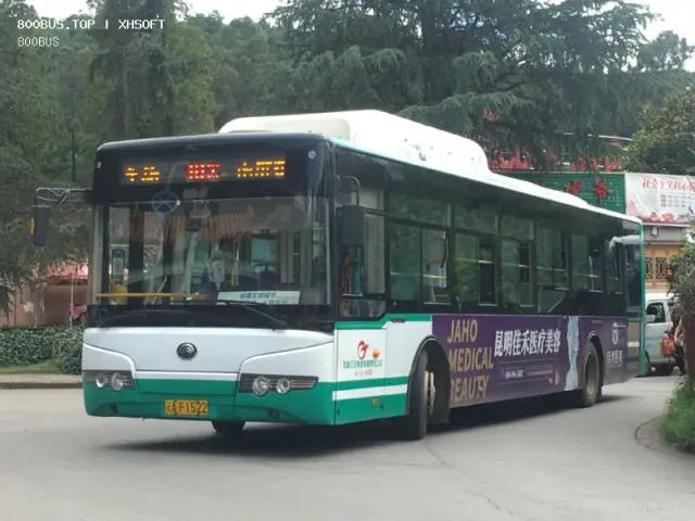 800BUS