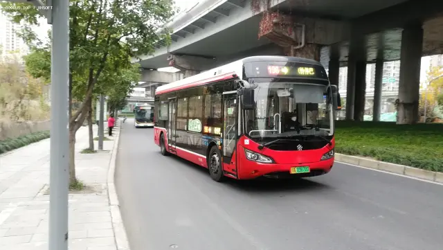 800BUS