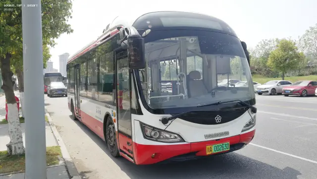 800BUS