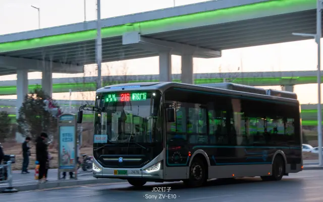 800BUS