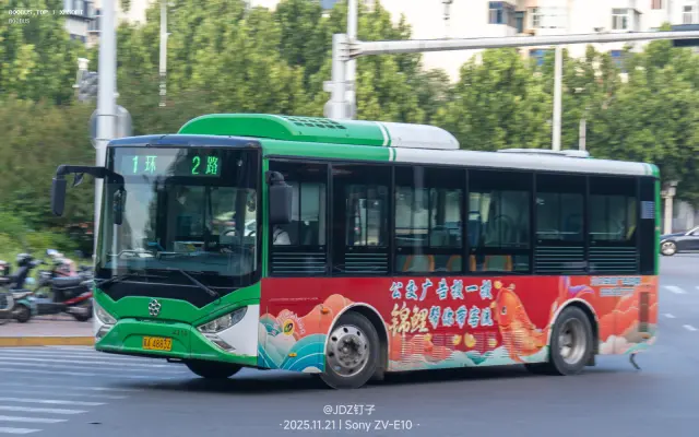 800BUS