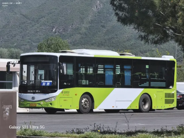 800BUS