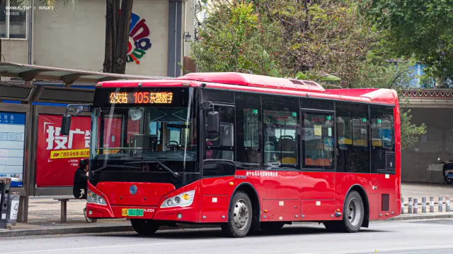 800BUS