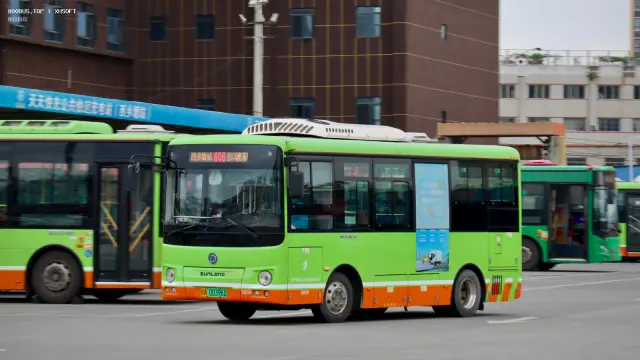 800BUS