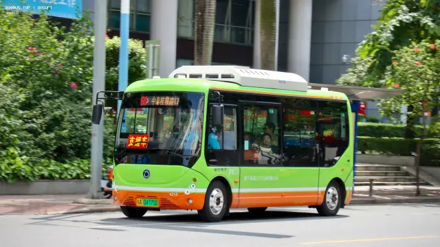 800BUS