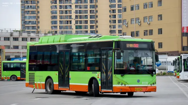800BUS