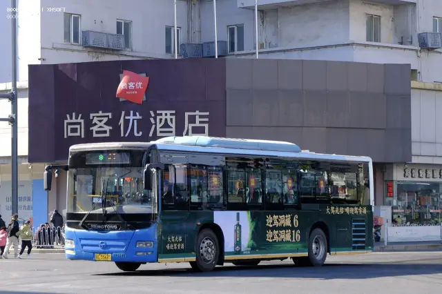 800BUS
