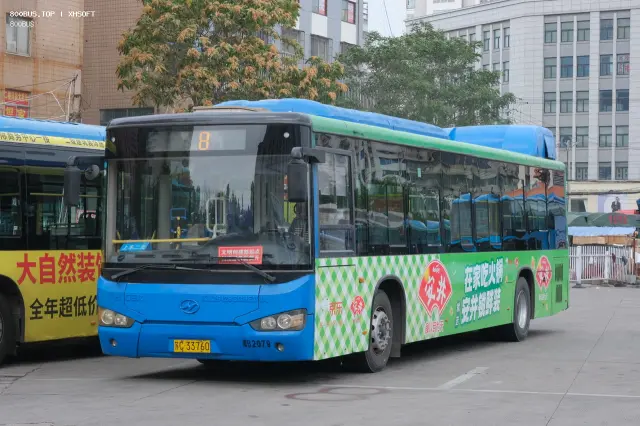 800BUS