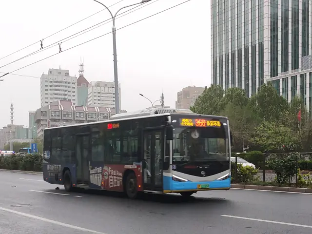 800BUS
