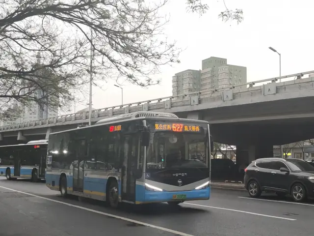 800BUS