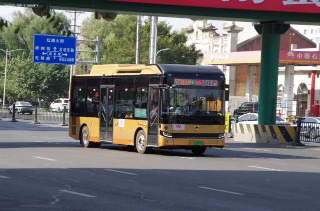 800BUS