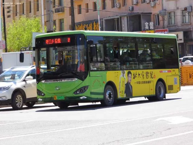 800BUS