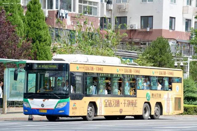 800BUS