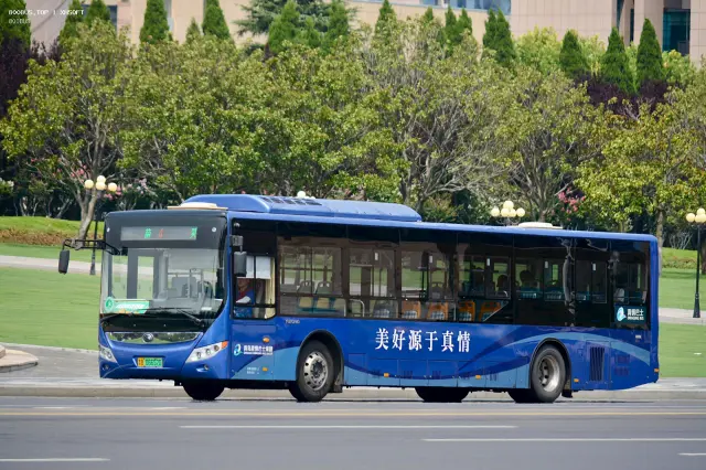 800BUS