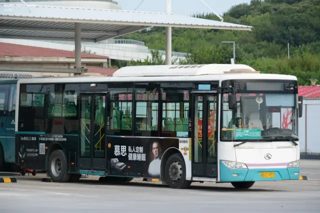 800BUS