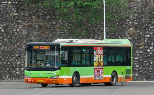 800BUS
