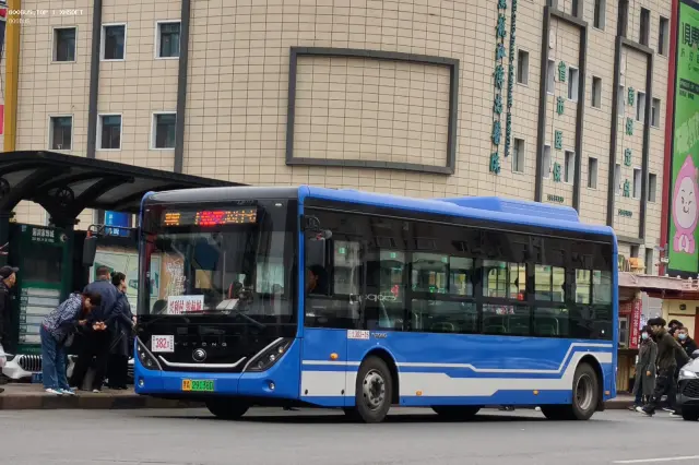800BUS