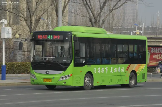800BUS