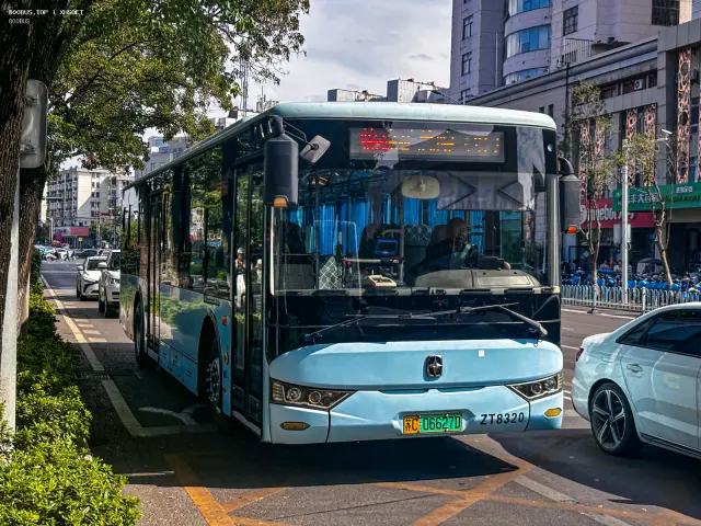800BUS