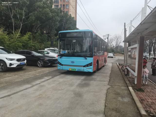 800BUS