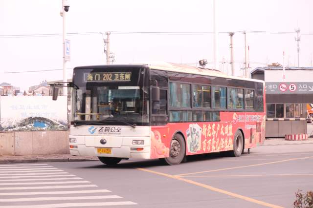 800BUS
