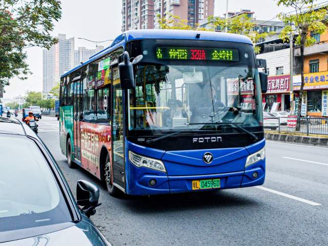 800BUS